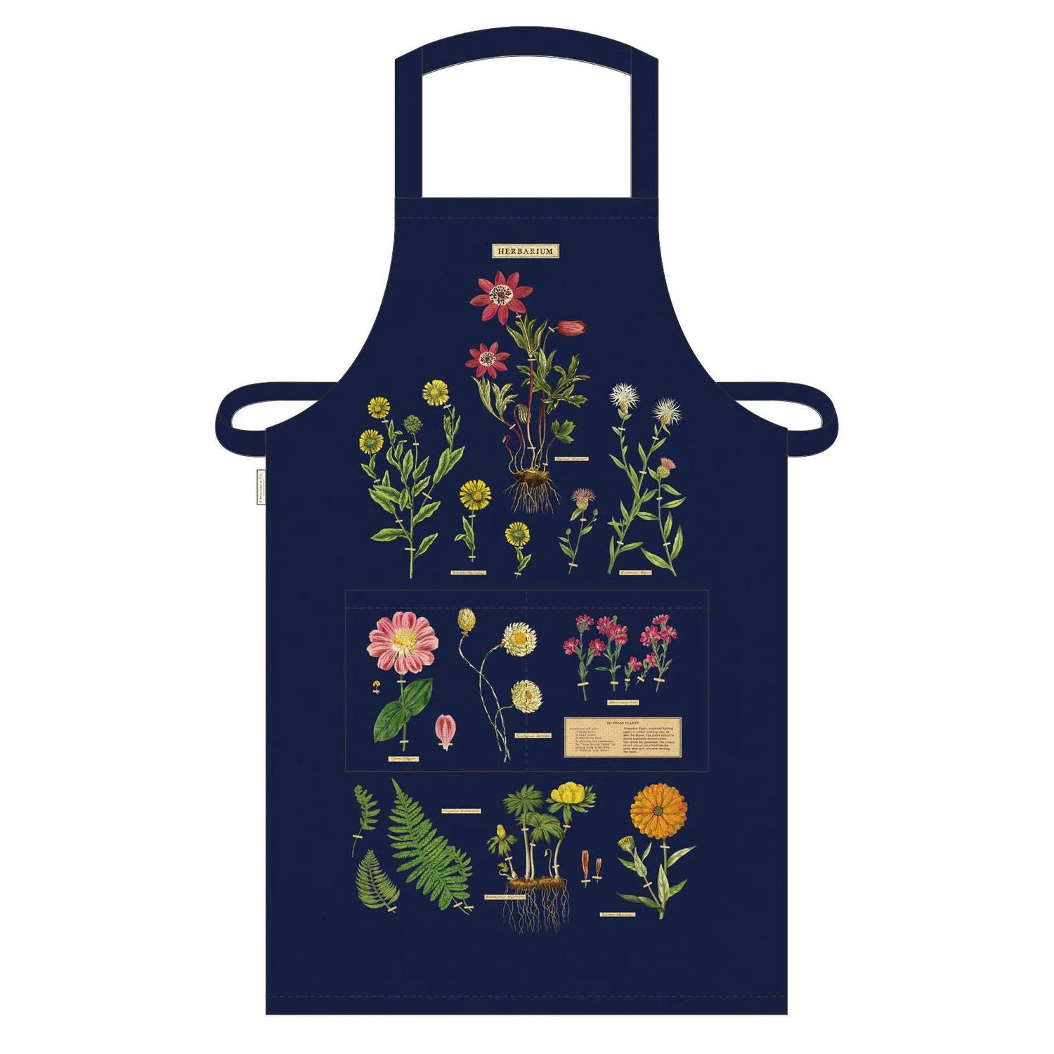 Cavallini Papers Vintage Apron - Foraging
