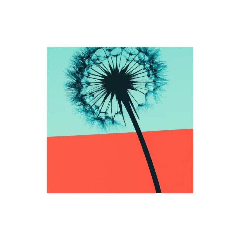 Taalla Matted Print - Dandelion 003-23