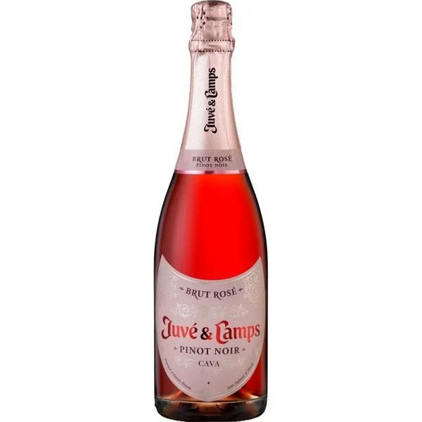 Juve &amp; Camps - Sparkling Brut Rose Pinot Noir Cava