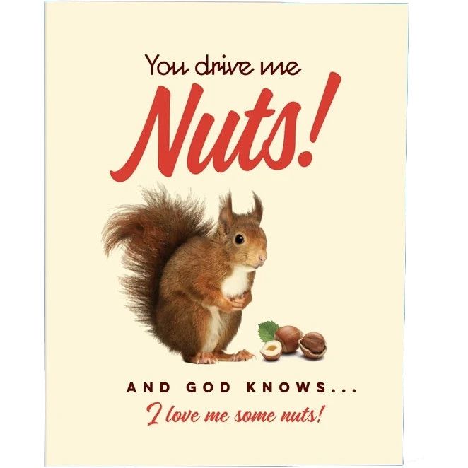 Offensive + Delightful - You Drive Me Nuts!