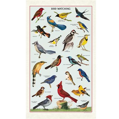Cavallini Papers Vintage Tea Towel - Bird Watching