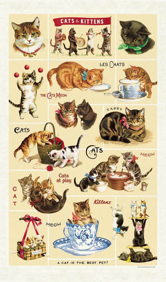 Cavallini Papers Vintage Tea Towel - Vintage Cats