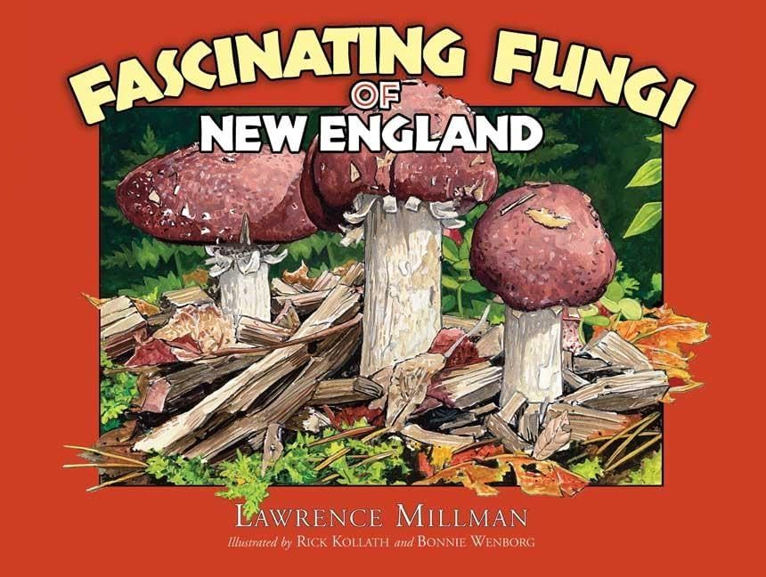AdventureKeen - Fascinating Fungi of New England