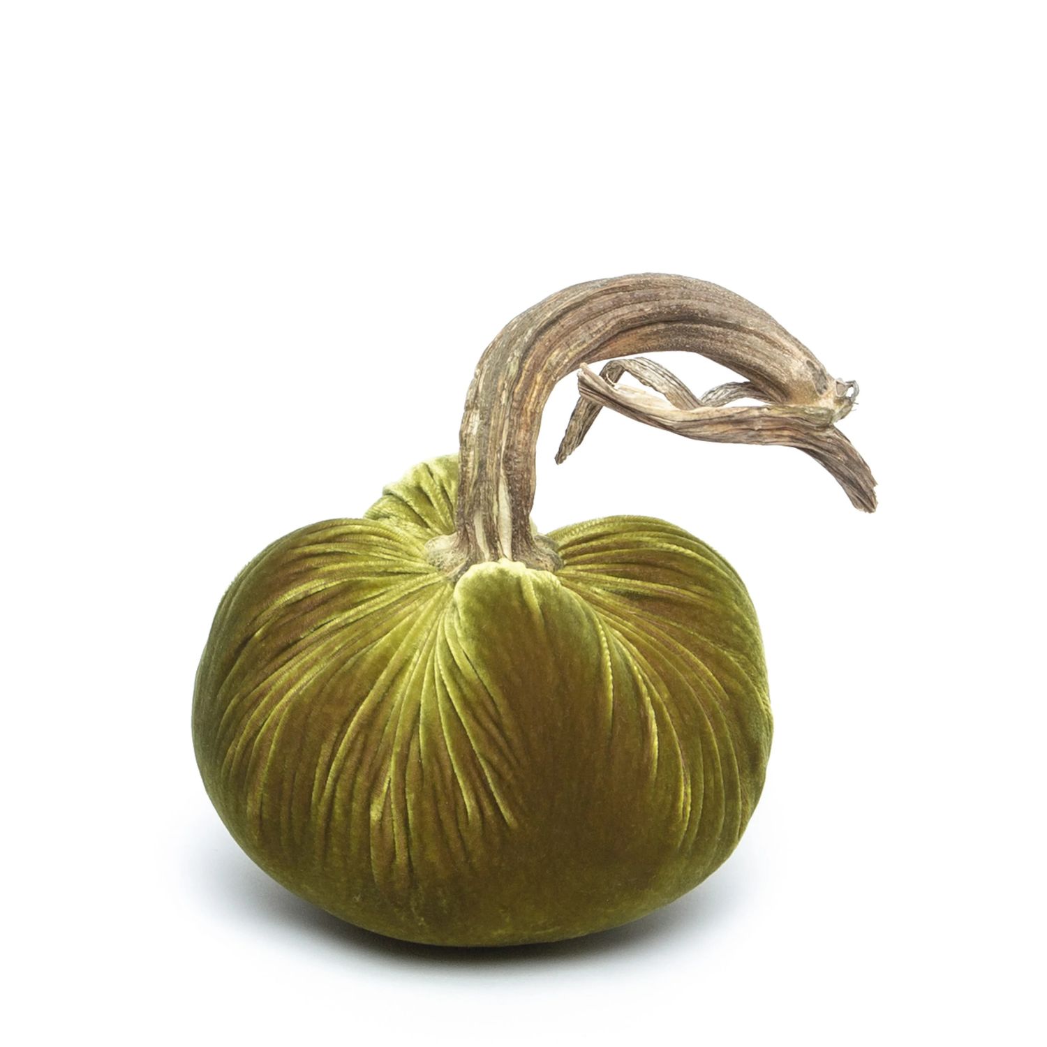 Hot Skwash Pumpkin - Cactus 6&quot;