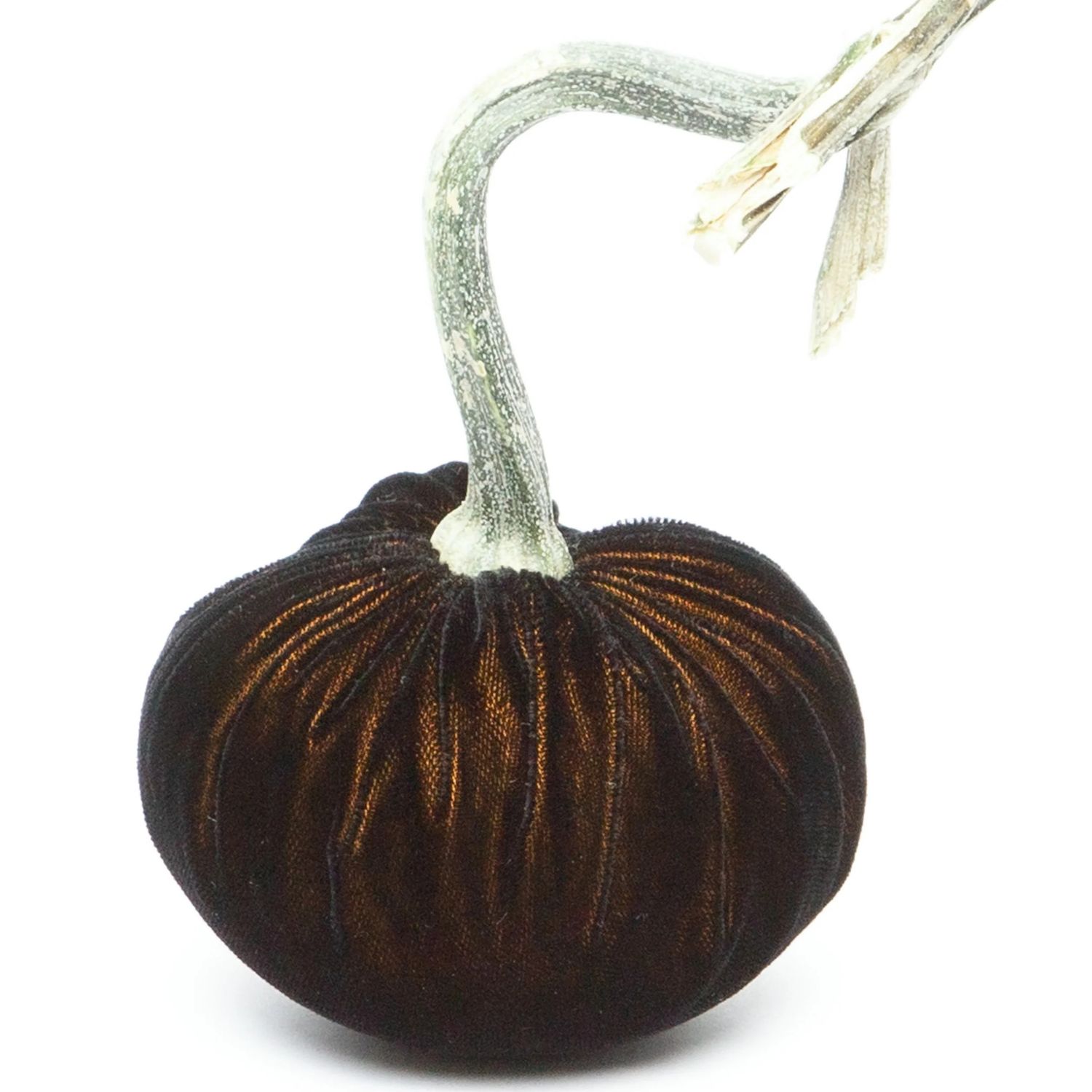Hot Skwash Pumpkin - Black Gold 3&quot;