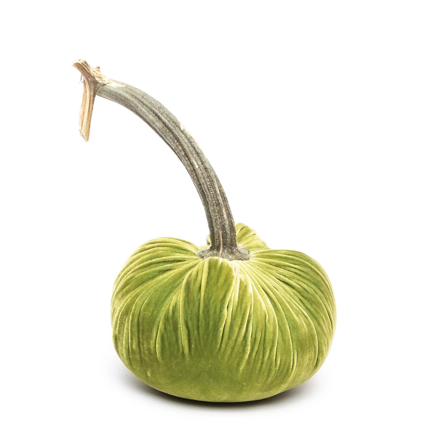 Hot Skwash Pumpkin - Chartreuse 6&quot;