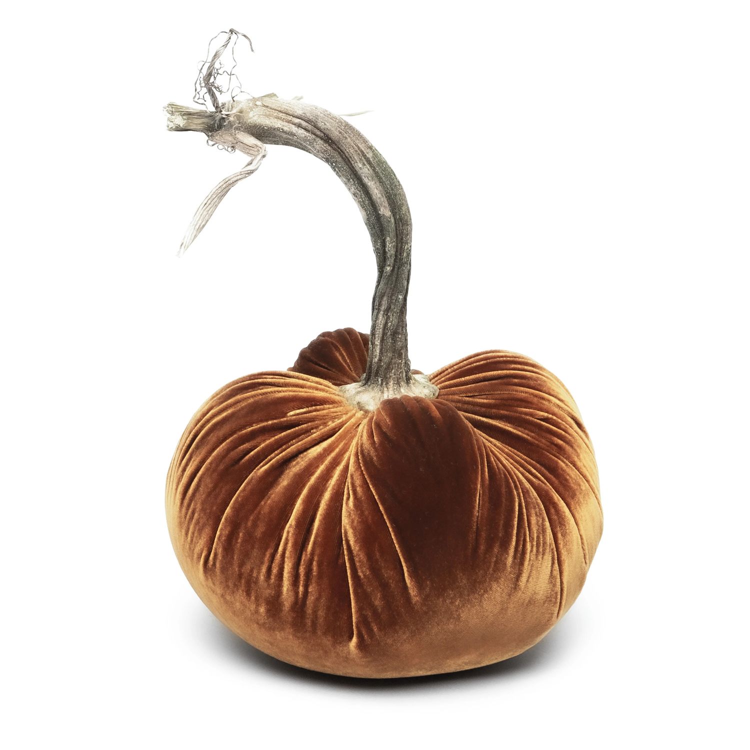 Hot Skwash Pumpkin - Bronze Jumbo