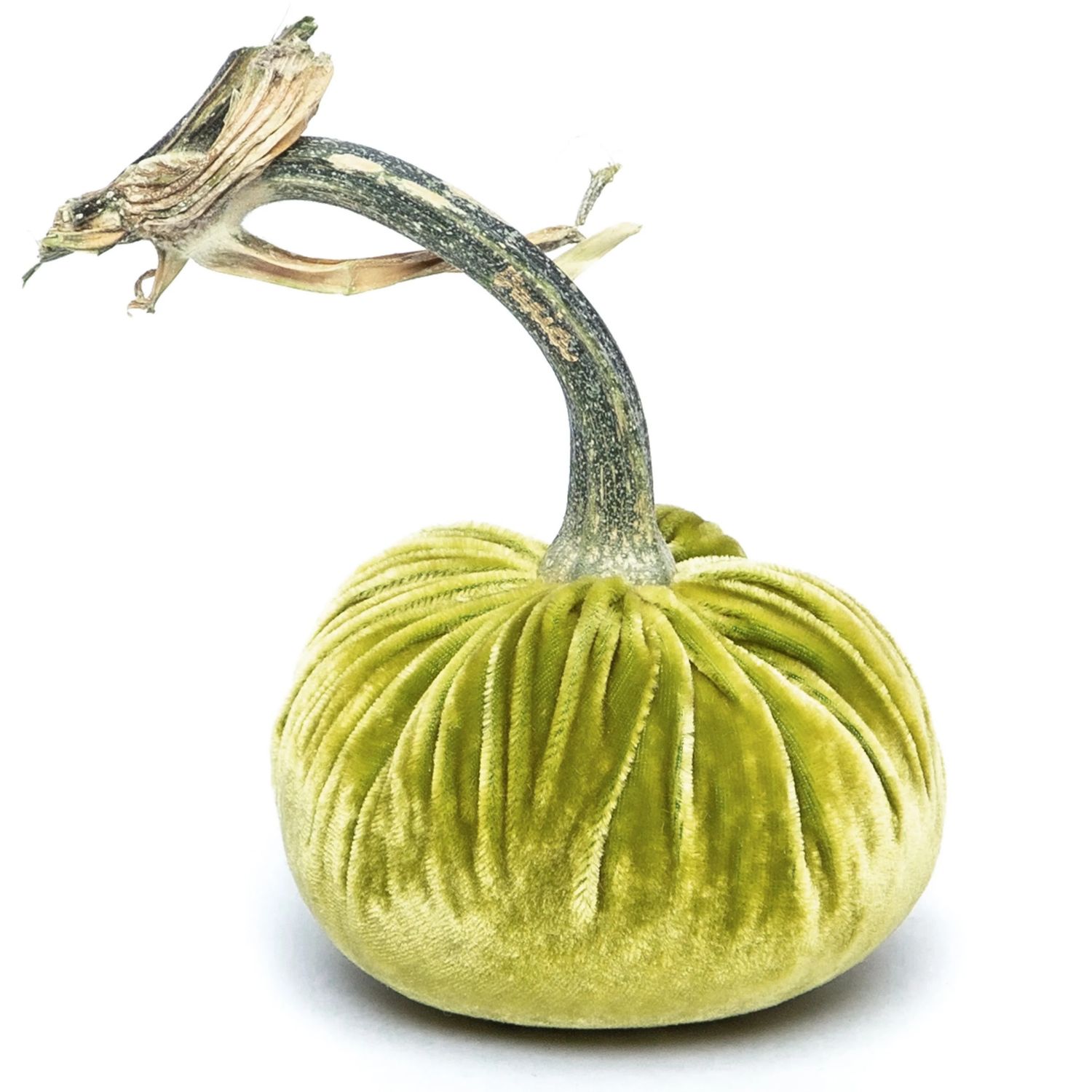 Hot Skwash Pumpkin - Chartreuse 4&quot;