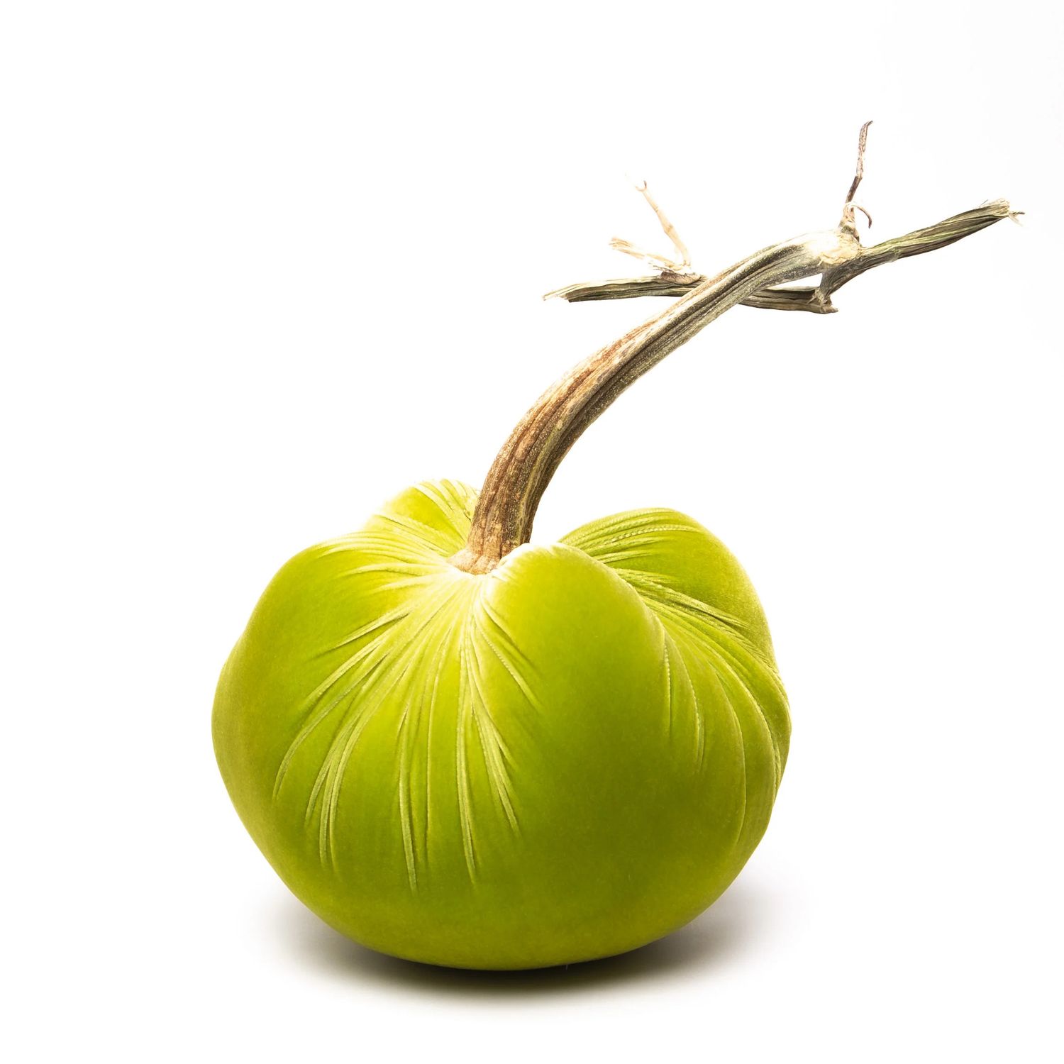 Hot Skwash Pumpkin - Chartreuse Jumbo