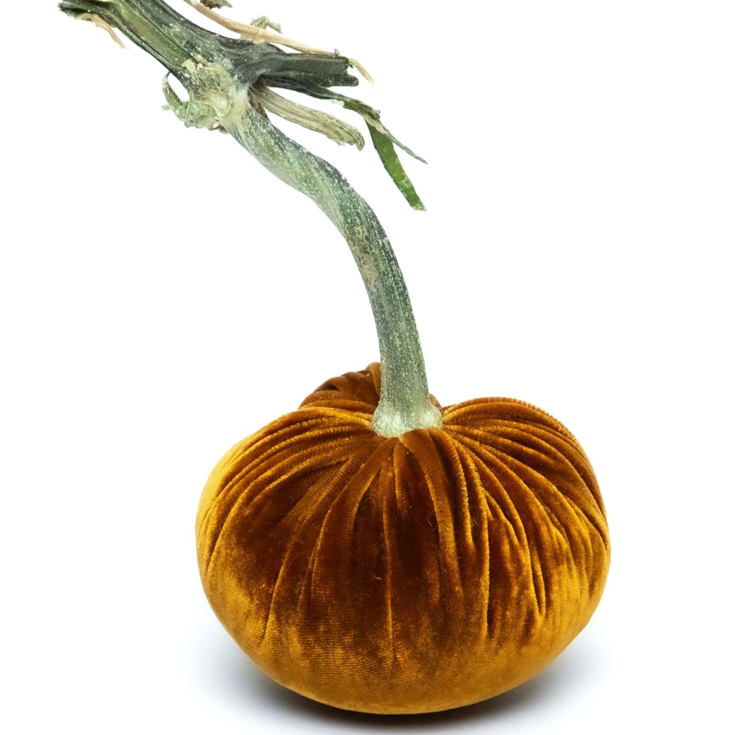 Hot Skwash Pumpkin - Bronze 6&quot;