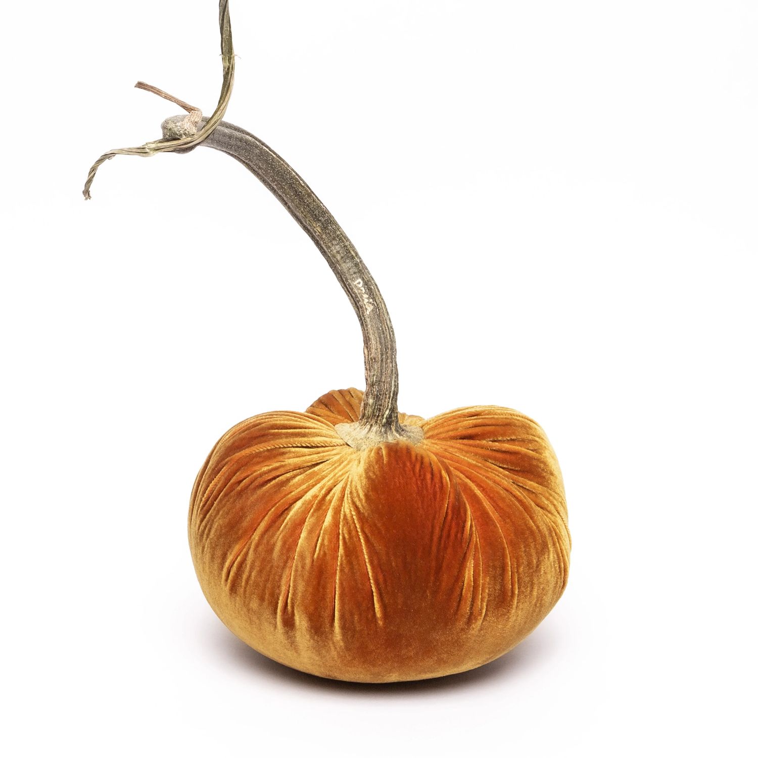 Hot Skwash Pumpkin - D&#39;Or 8&quot;