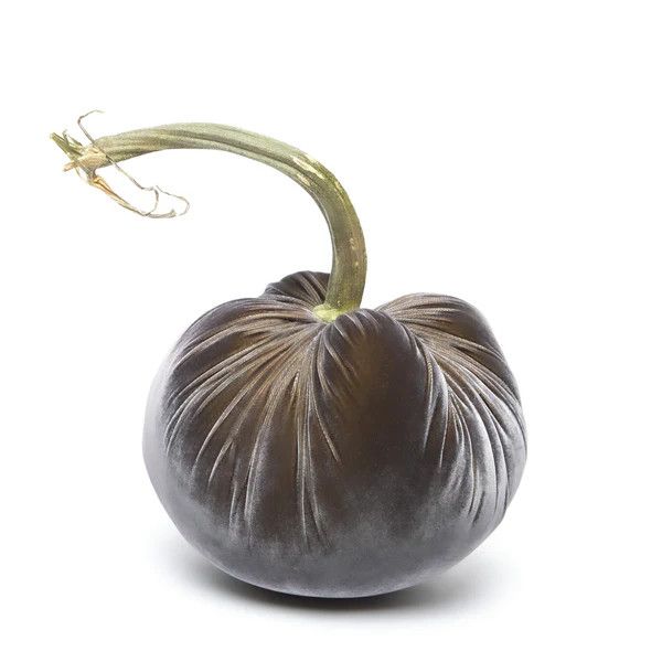 Hot Skwash Pumpkin - Graphite Luca (15&quot;-16&quot;)