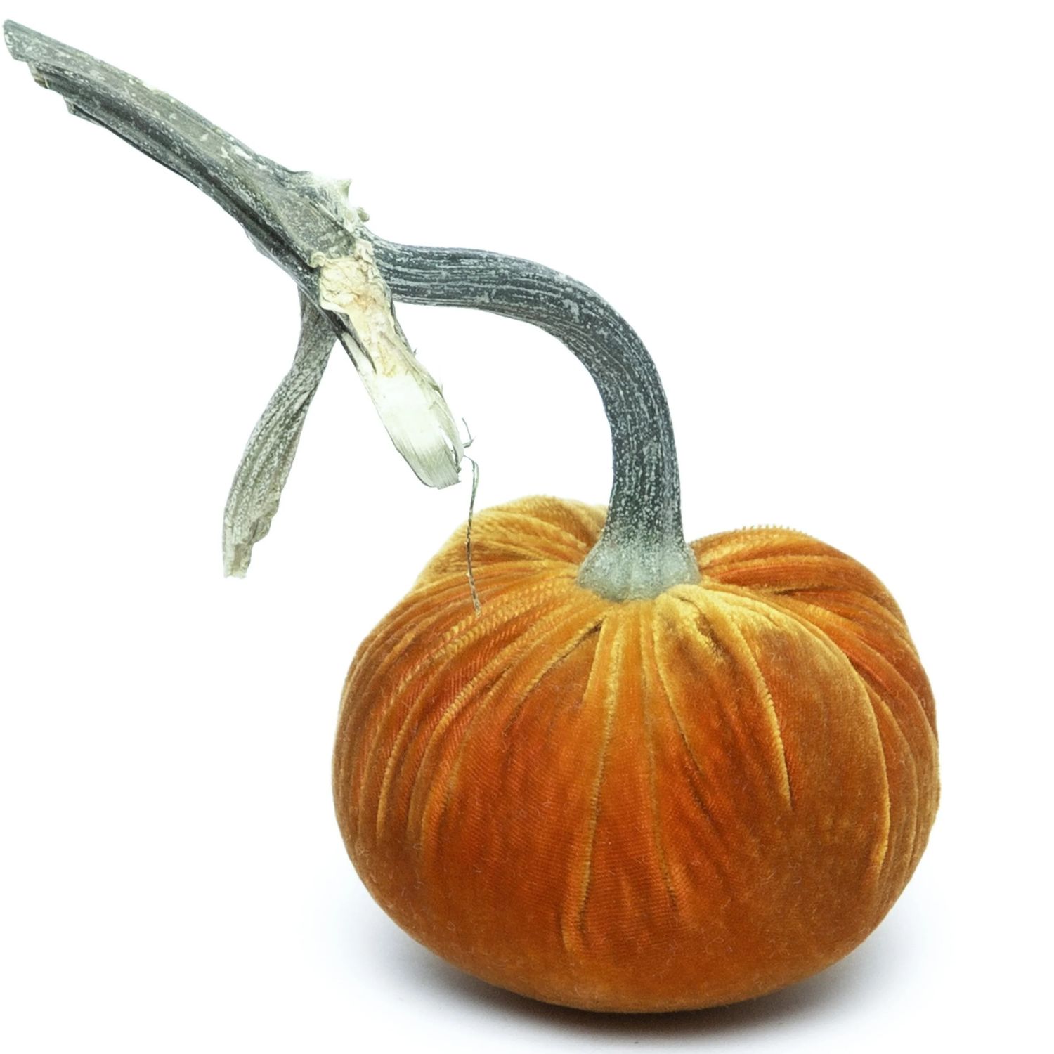 Hot Skwash Pumpkin - D&#39;Or 4&quot;