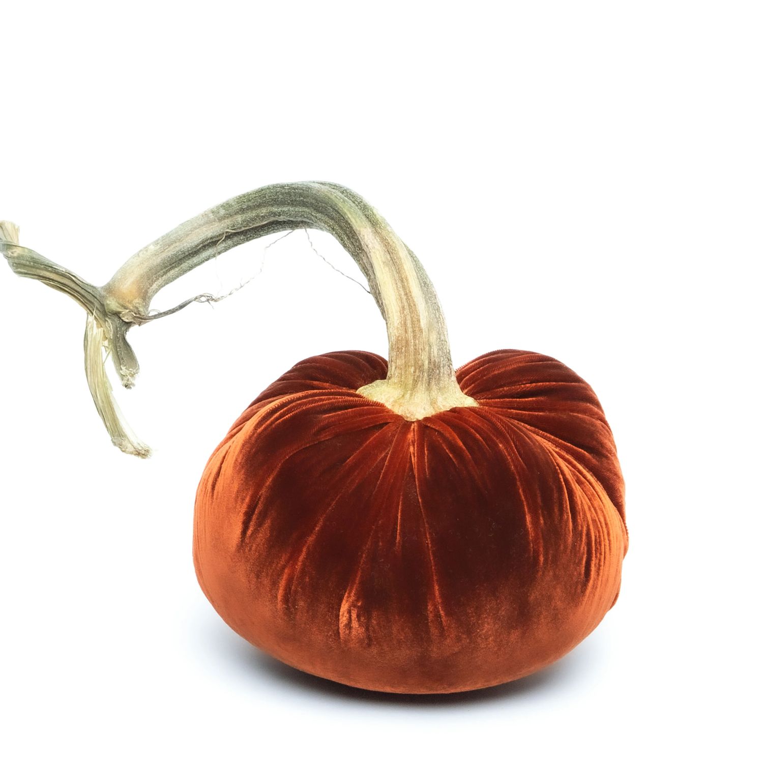 Hot Skwash Pumpkin - Fire 8&quot;