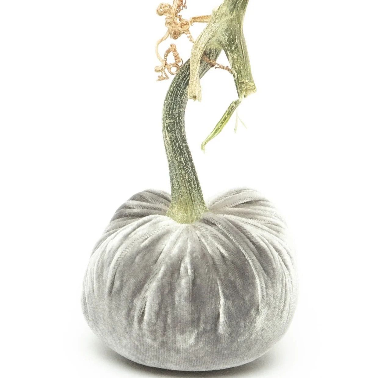 Hot Skwash Pumpkin - Grey 4&quot;