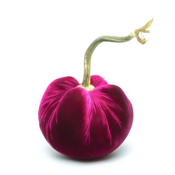 Hot Skwash Pumpkin - Magenta JJ