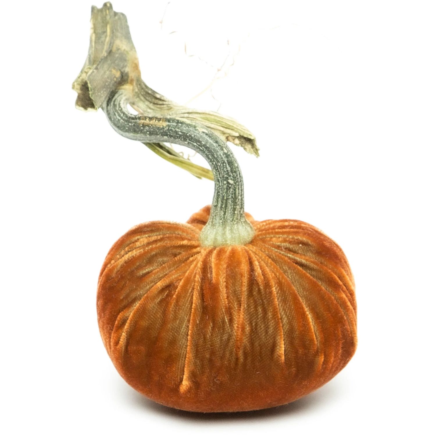 Hot Skwash Pumpkin - Sandgreen 5&quot;