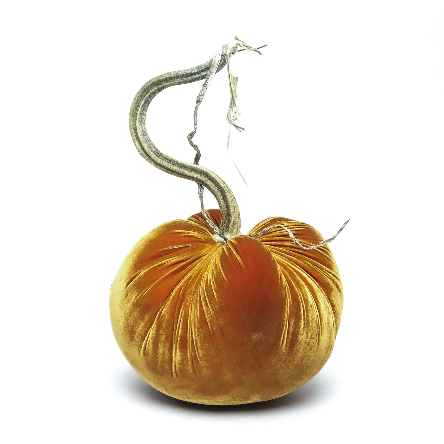 Hot Skwash Pumpkin - D&#39;Or Luca (15&quot;-16&quot;)