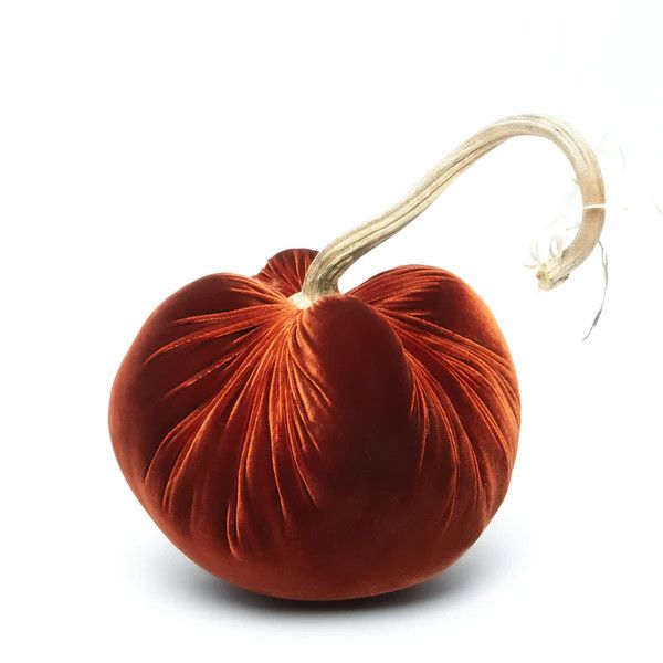 Hot Skwash Pumpkin - Fire JJ