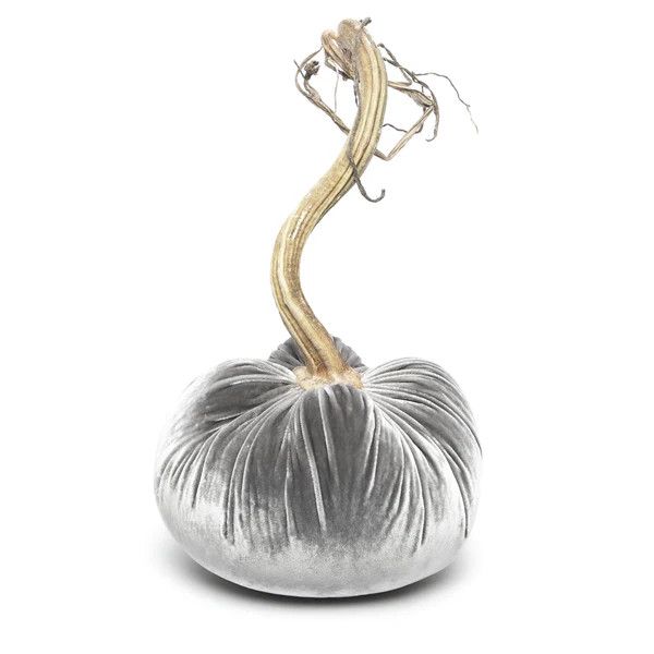 Hot Skwash Pumpkin - Grey 6&quot;