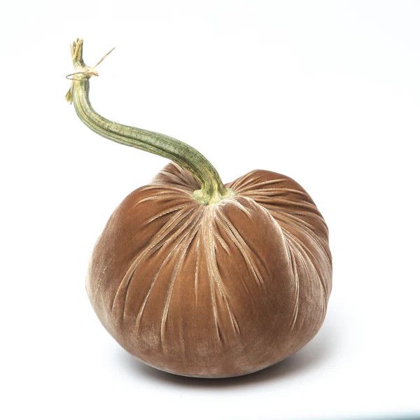 Hot Skwash Pumpkin - Mocha LE (13&quot;)