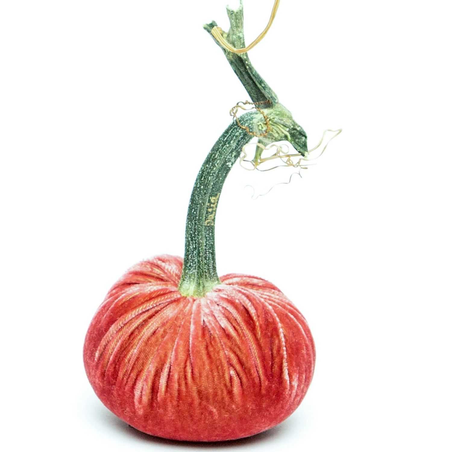Hot Skwash Pumpkin - Rhubarb 3&quot;