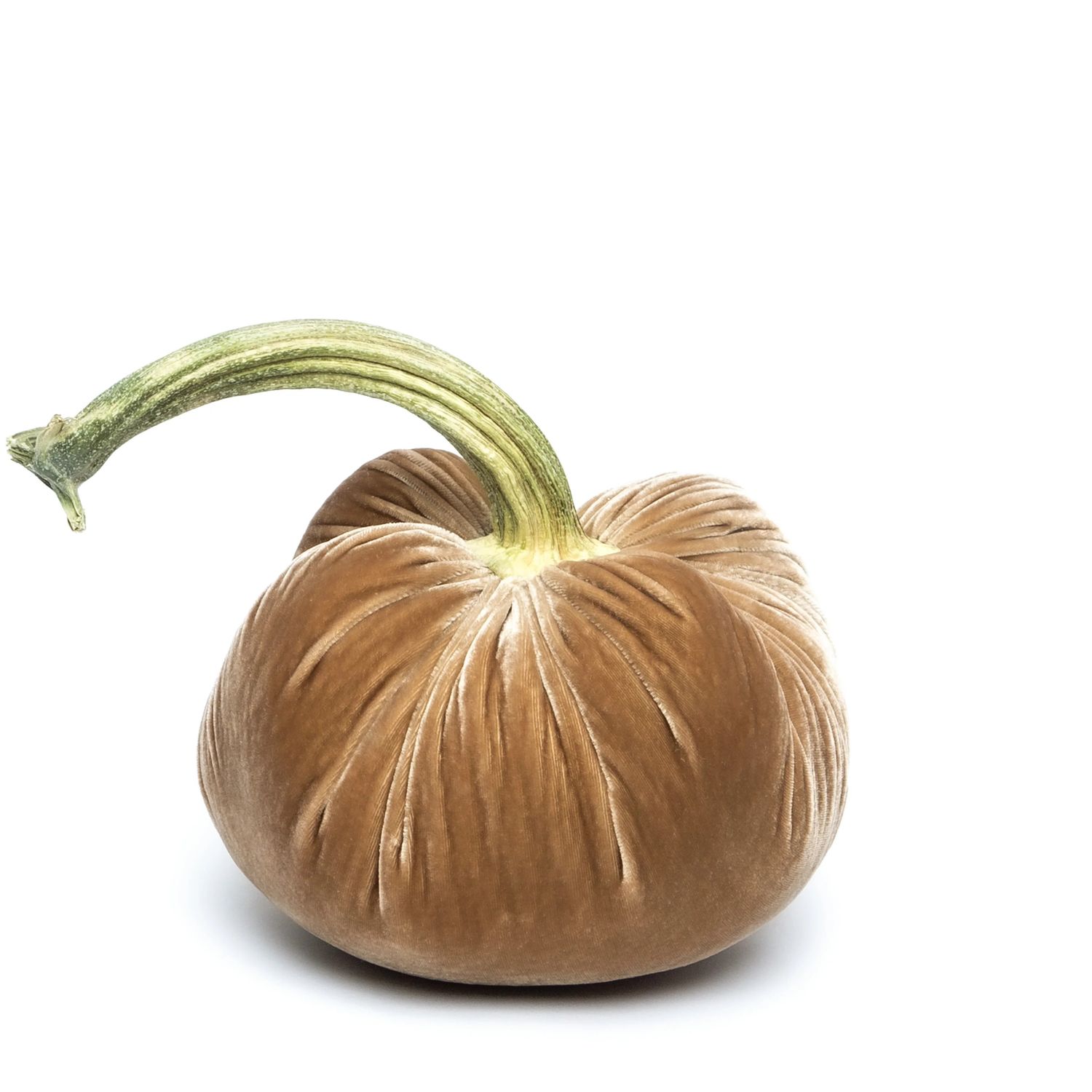 Hot Skwash Pumpkin - Mocha 8&quot;
