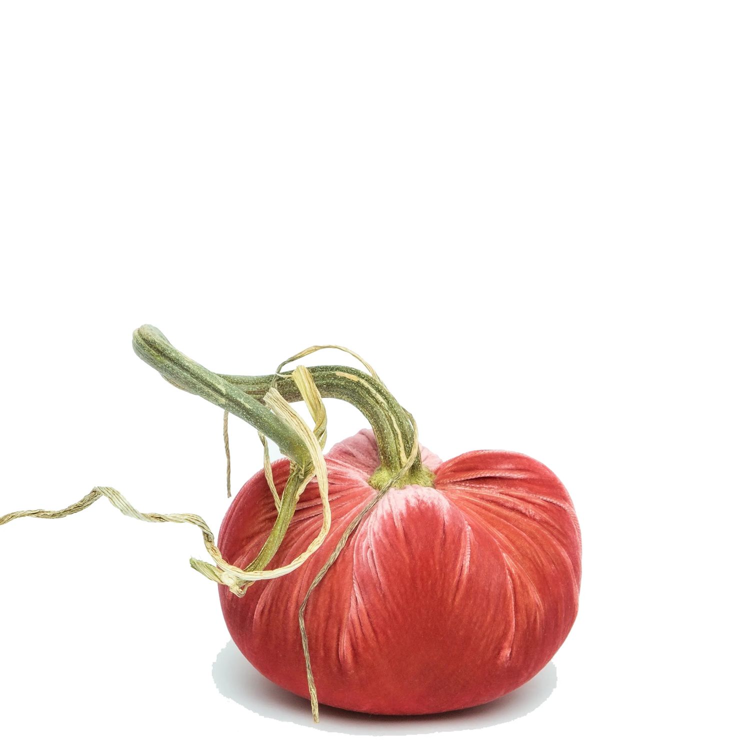 Hot Skwash Pumpkin - Rhubarb 6&quot;