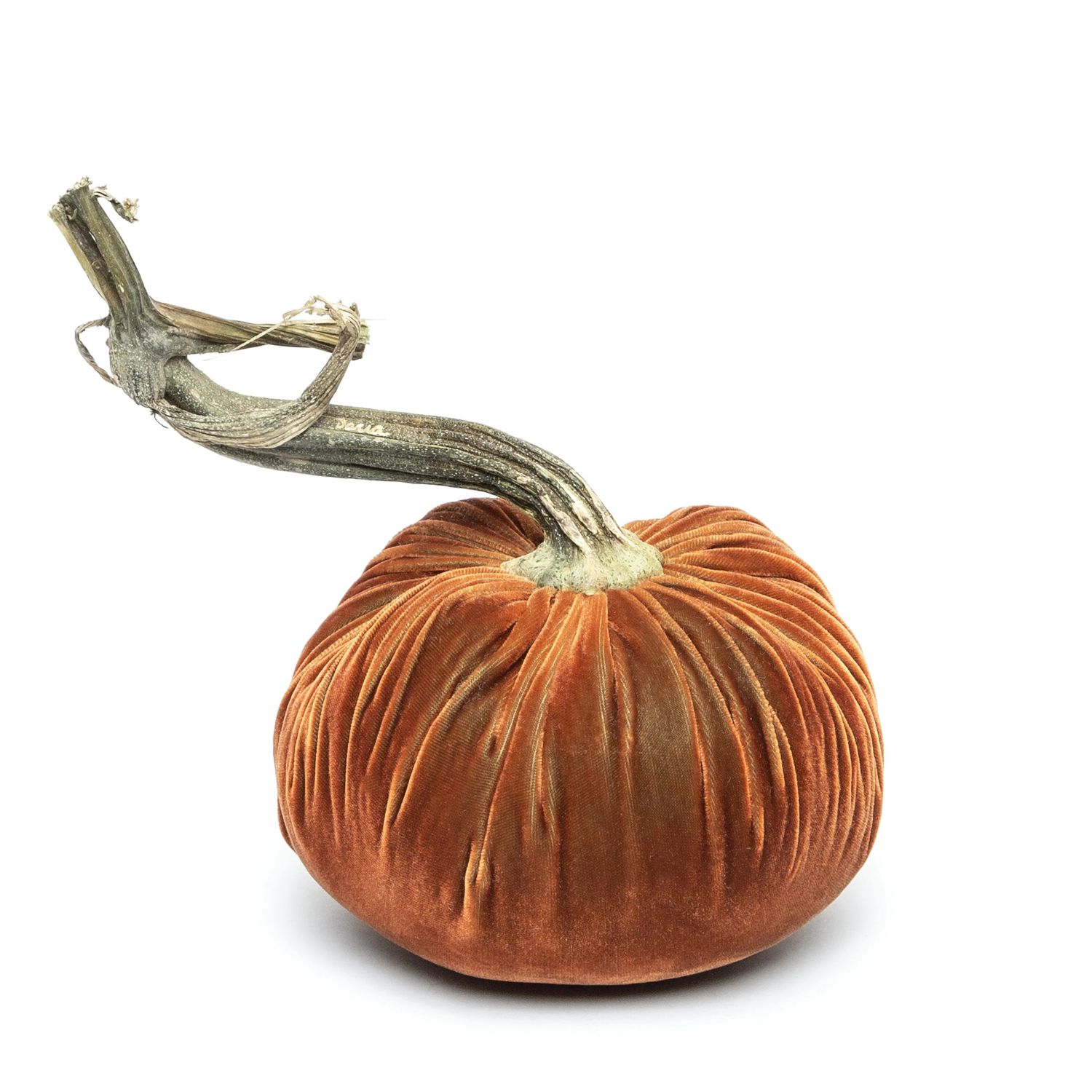 Hot Skwash Pumpkin - Sandgreen 10&quot;