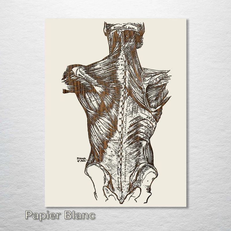 Fire and Pine Gray&#39;s Anatomy - Back - Papier Blanc Small