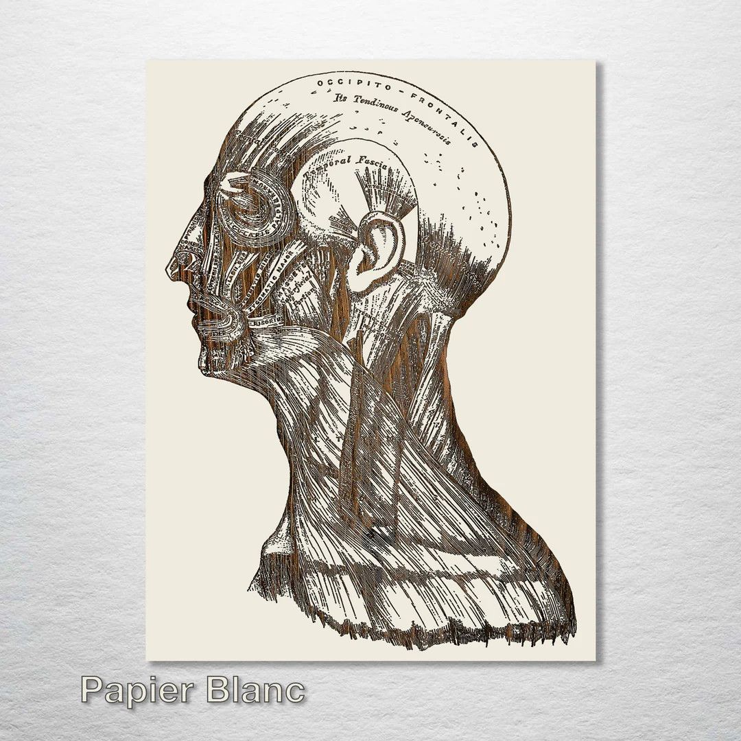 Fire and PIne Gray's Anatomy - Head - Papier Blanc Small