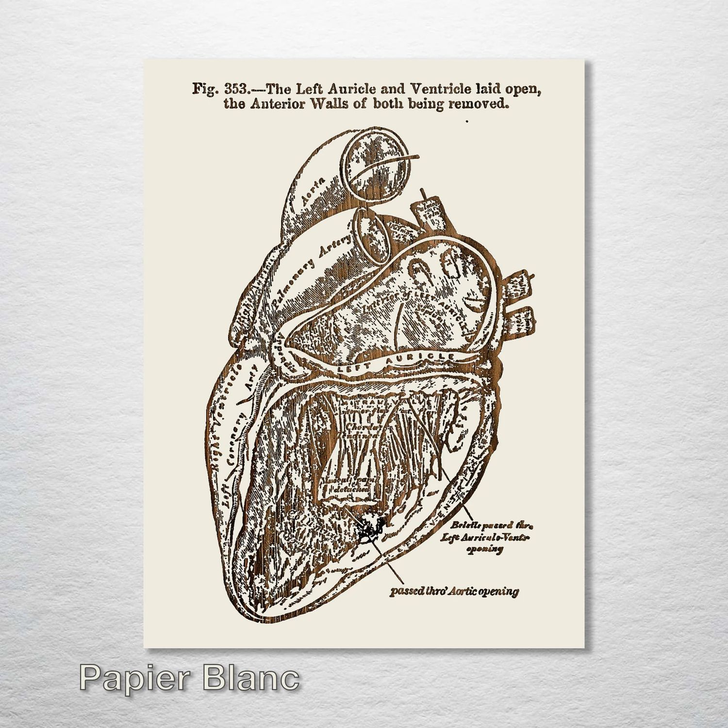 Fire and PIne Gray&#39;s Anatomy - Heart (side) - Papier Blanc Small