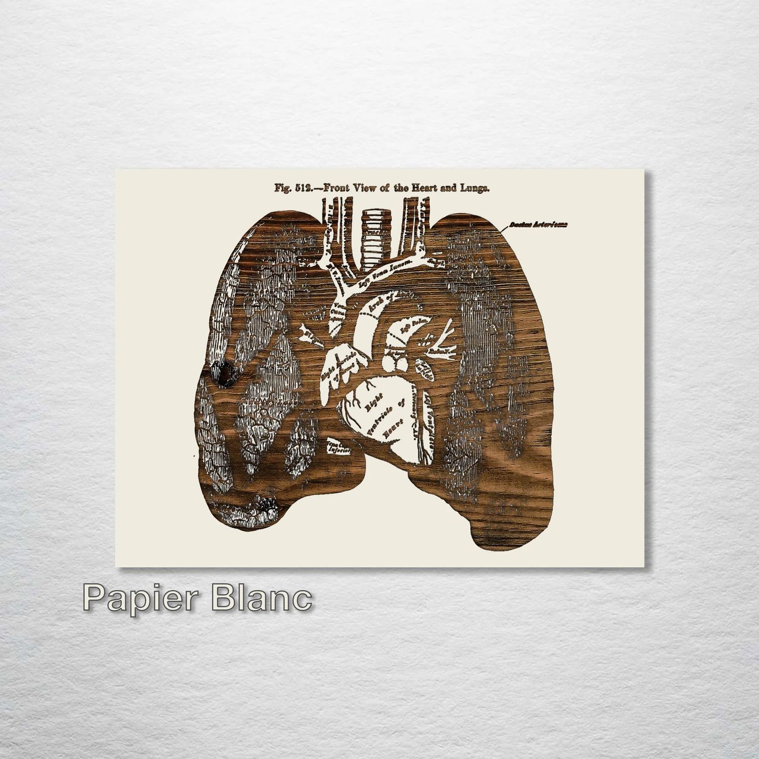 Fire and Pine Gray&#39;s Anatomy - Lungs Front - Papier Blanc Schmedium