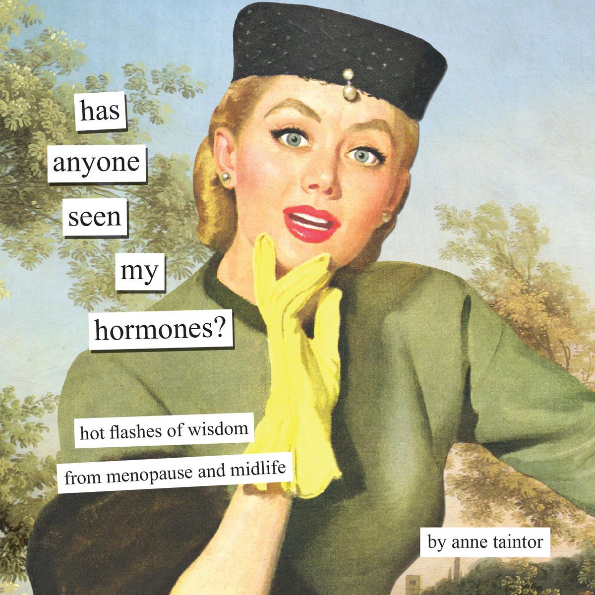 Hachette Book Group -  Has Anyone Seen My Hormones