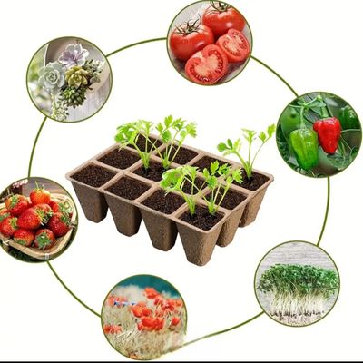 100% Biodegradable Seedling Trays 12 holes 10pc/20pc/50pc