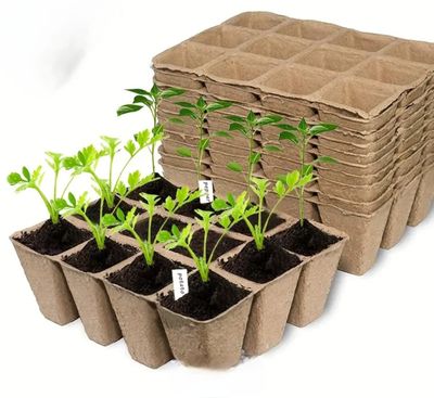 100% Biodegradable Seedling Trays 12 holes 10pc/20pc/50pc