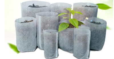 Biodegradable Non Woven Paper Pots (3 sizes)