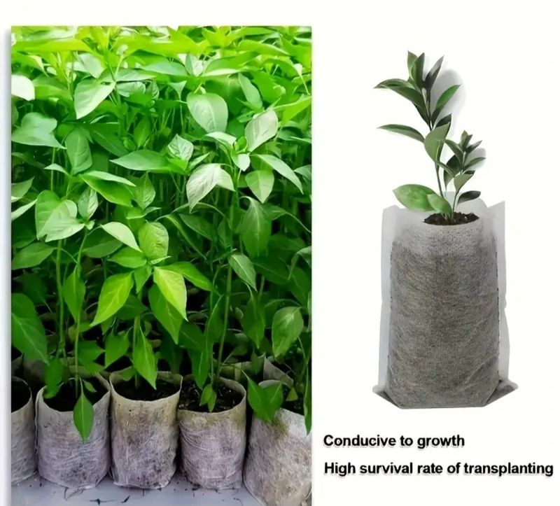 Biodegradable Non Woven Paper Pots (3 sizes)