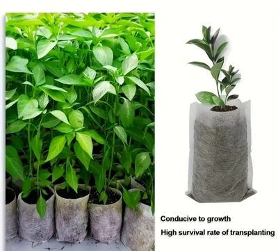 Biodegradable Non Woven Paper Pots (3 sizes)