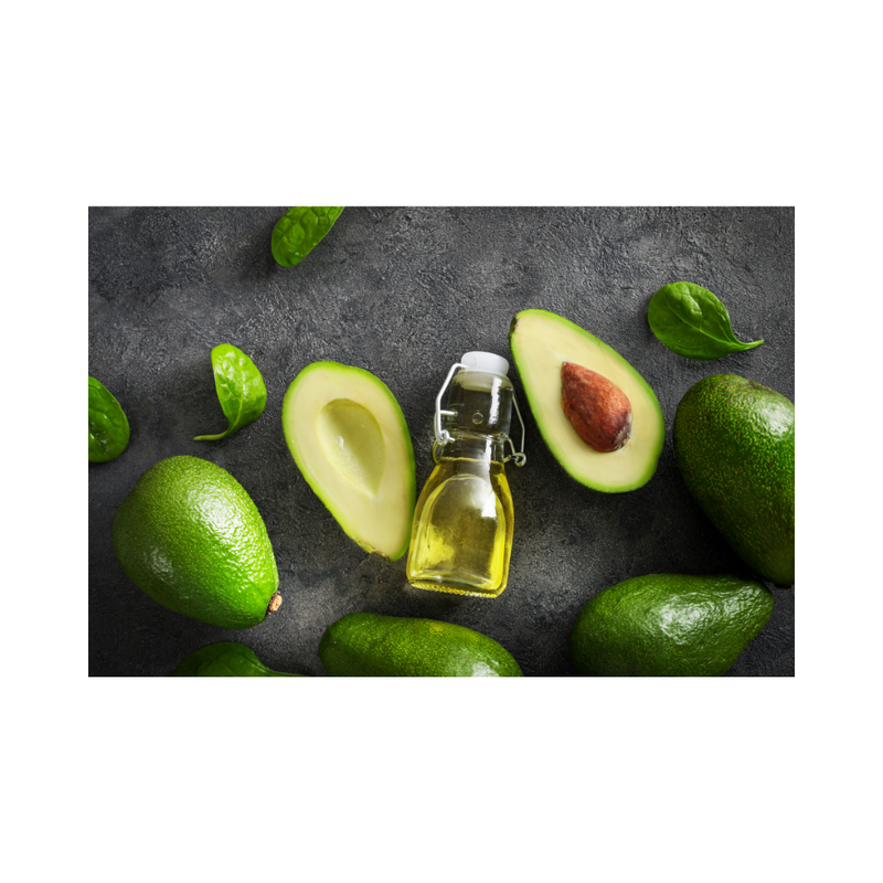 Avocado (Shepard) Grafted Tree 40-70cm