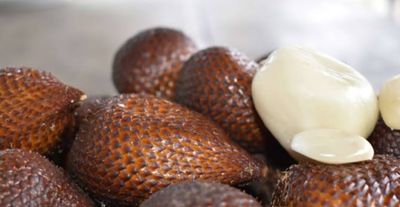 Snake Fruit Palm (Salak)