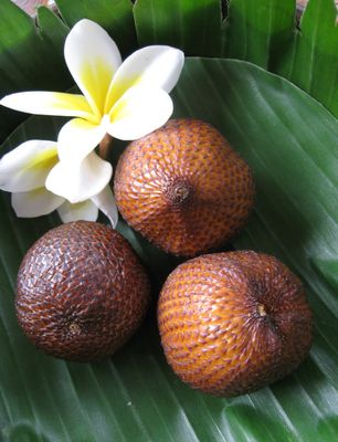 Salak Snake Fruit Palm Organic