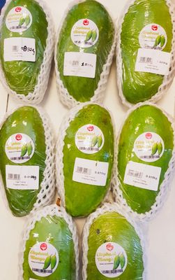 Mango (Elephant) Grafted - 60-80cm