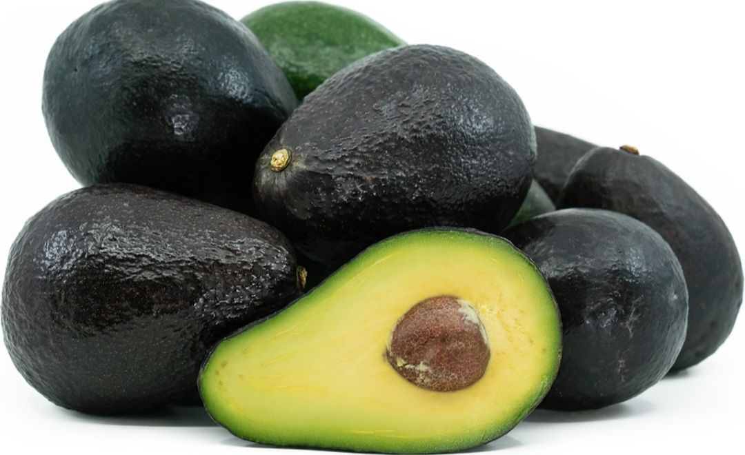 Avocado (Sir Prize) Grafted- 60-80cm (B)