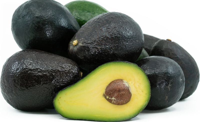 Avocado (Sir Prize) Grafted- 60-80cm (B)