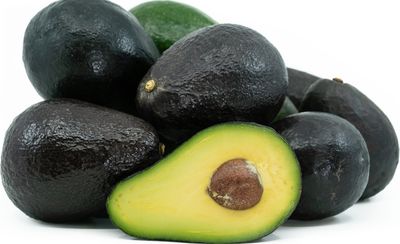 Avocado (Sir Prize) Grafted- 60-80cm (B)