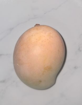 Mango (Crimson Blush) Grafted Advanced - 80-100cm