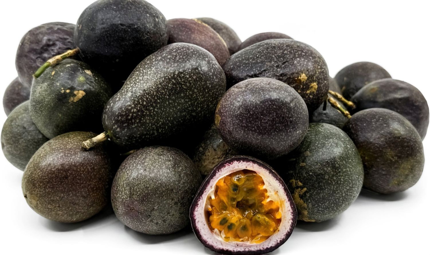 Passionfruit Vine - Grafted (Flamenco)