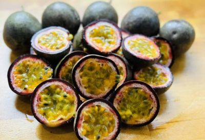 Passionfruit Vine - Grafted (Flamenco)