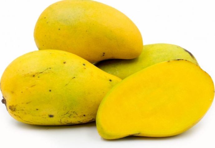 Mango (Chok Anan) Grafted Advanced 80-100cm